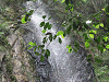 camp23 (64)_samu.gif
